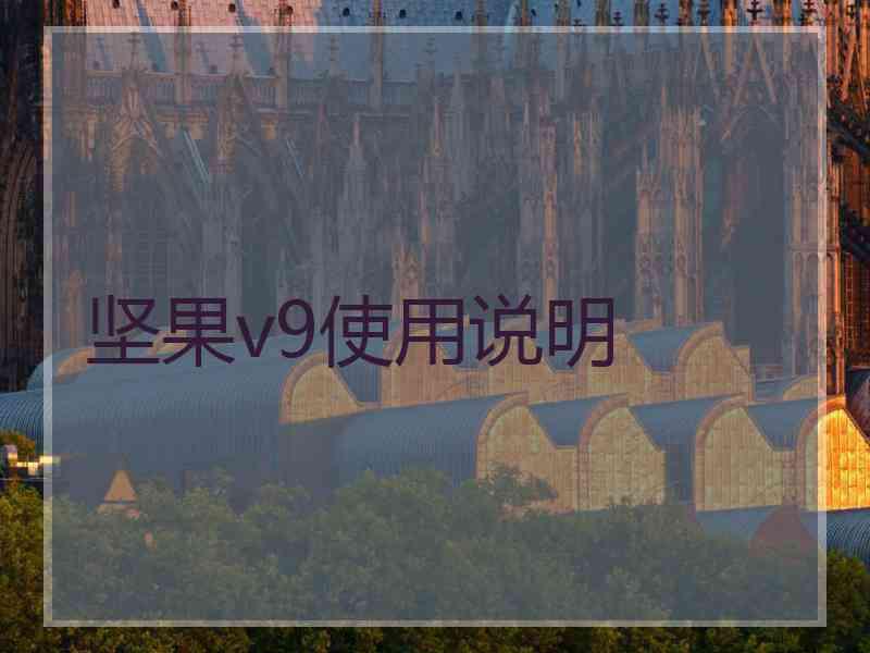 坚果v9使用说明