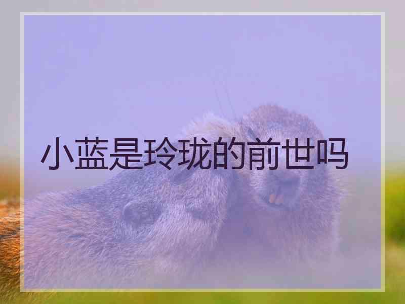 小蓝是玲珑的前世吗