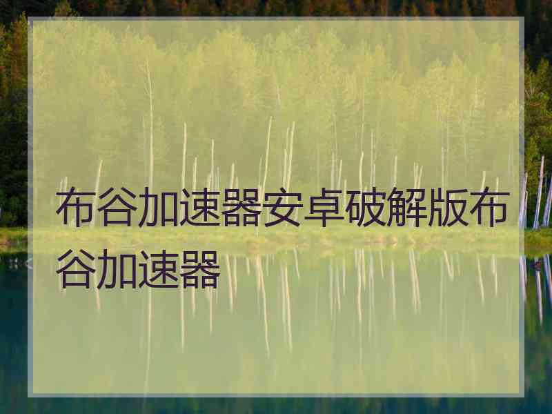 布谷加速器安卓破解版布谷加速器