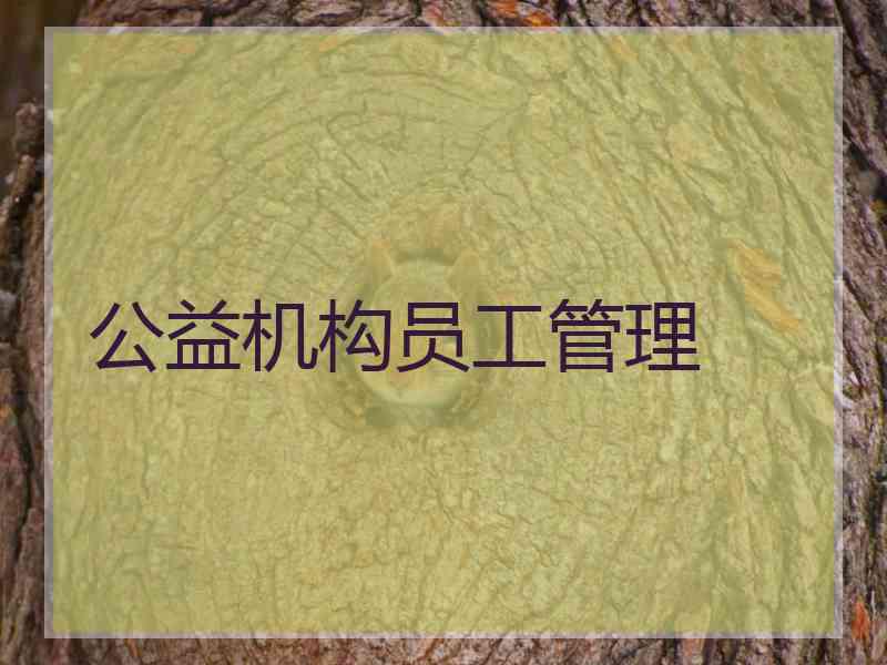 公益机构员工管理