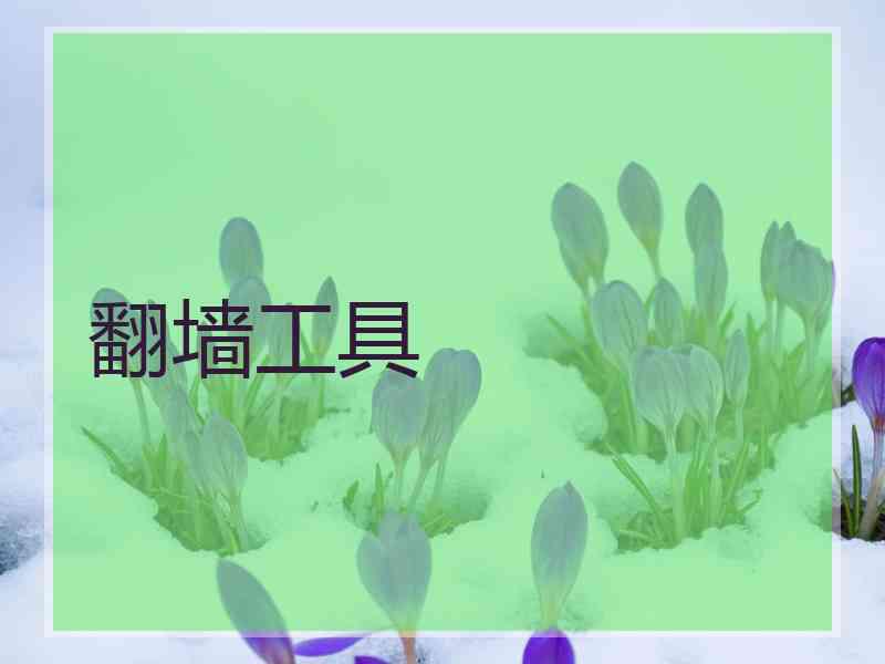 翻墙工具