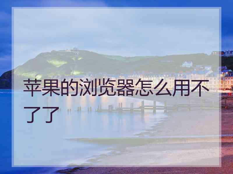 苹果的浏览器怎么用不了了