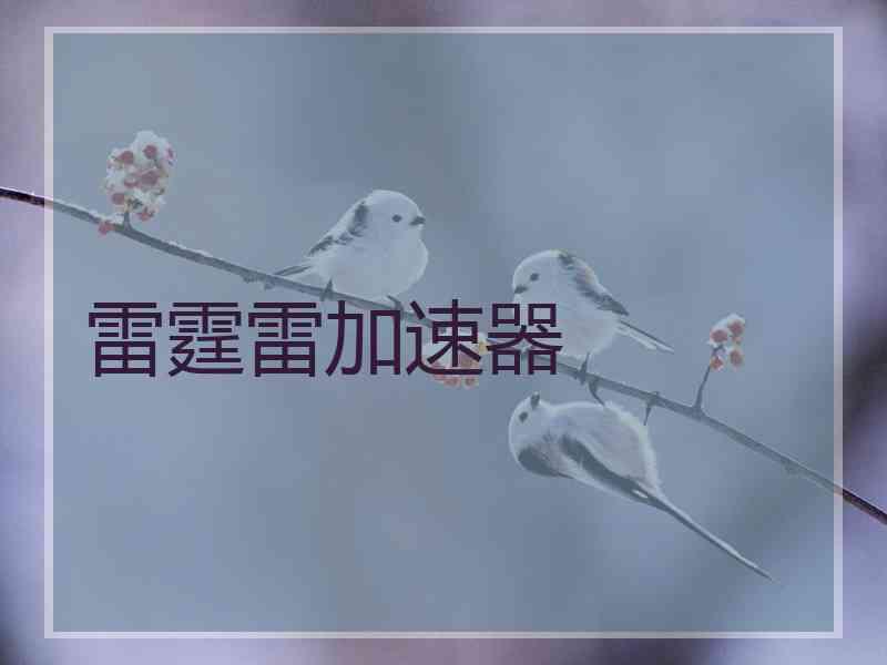 雷霆雷加速器
