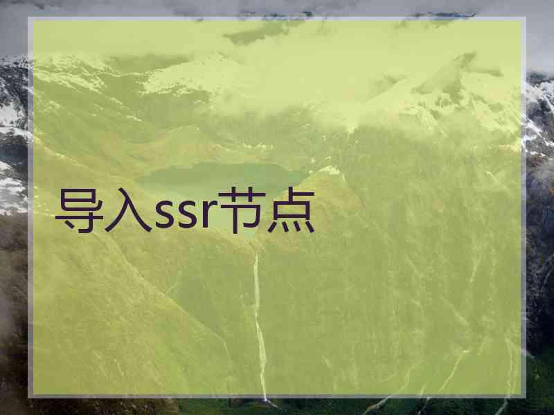 导入ssr节点