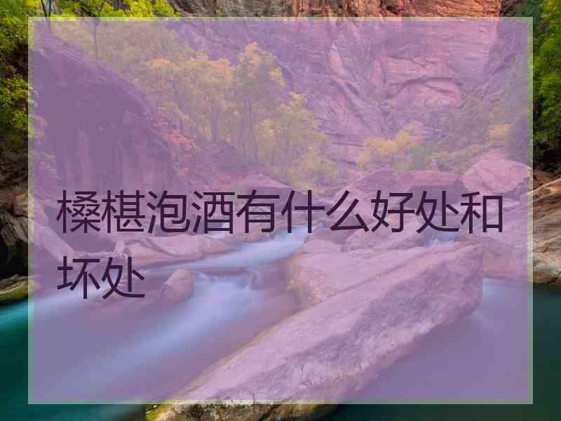 槡椹泡酒有什么好处和坏处