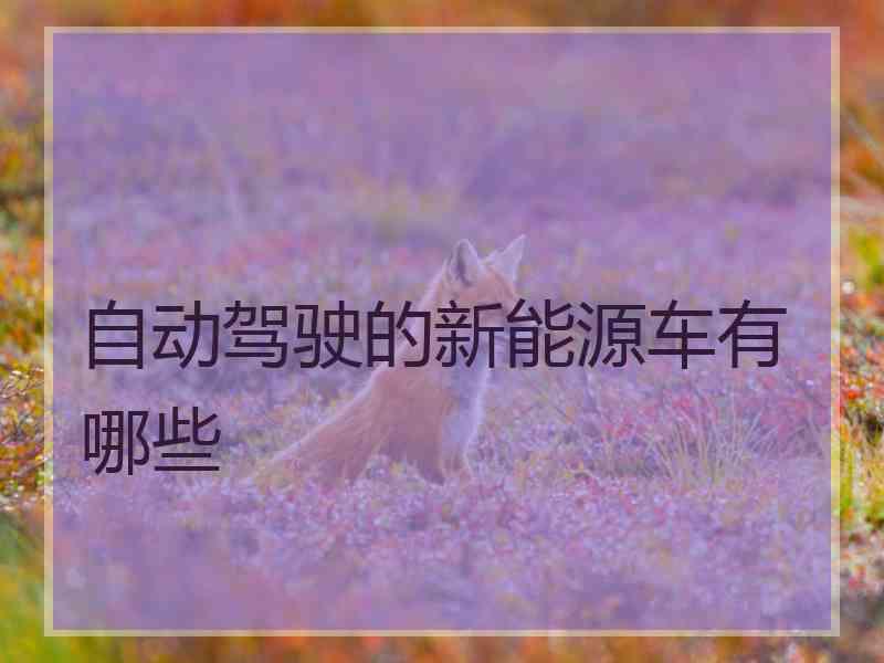 自动驾驶的新能源车有哪些