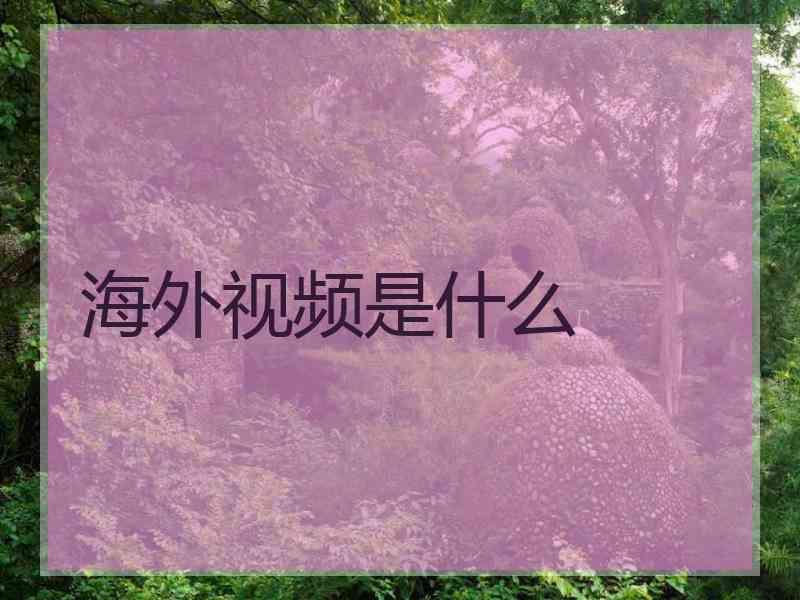 海外视频是什么