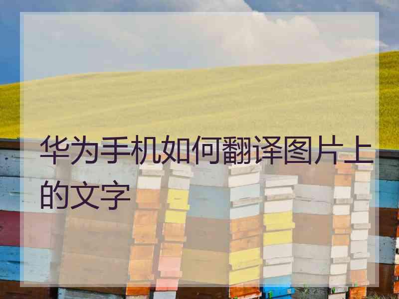 华为手机如何翻译图片上的文字