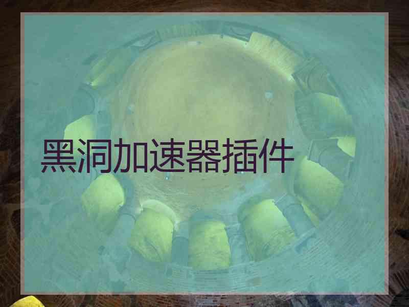 黑洞加速器插件