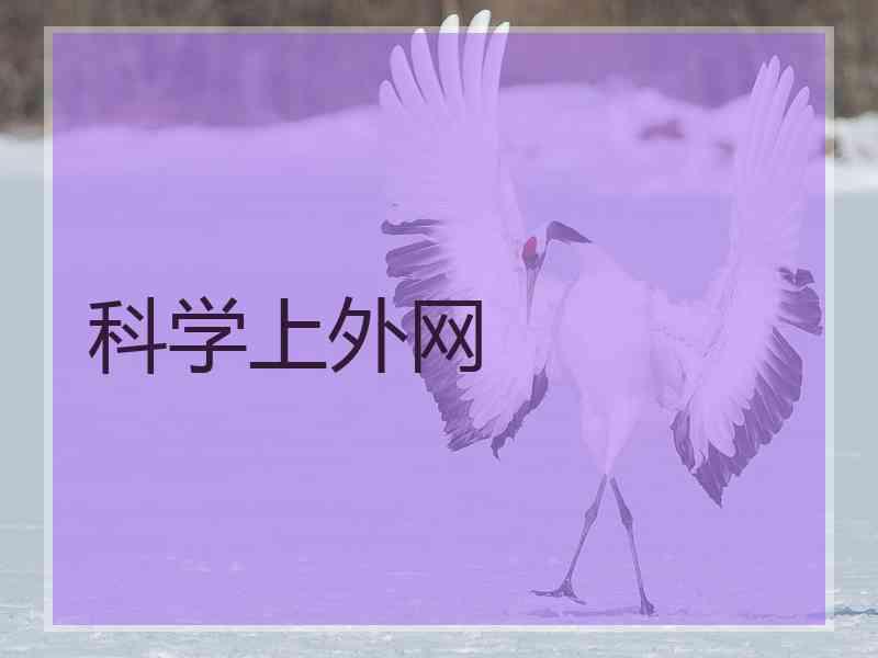 科学上外网