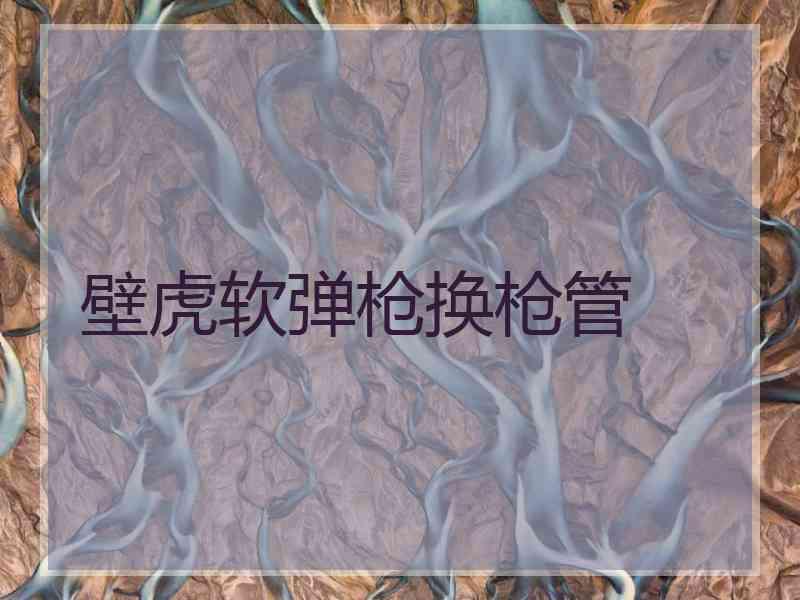壁虎软弹枪换枪管