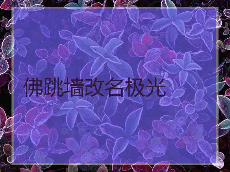 佛跳墙改名极光