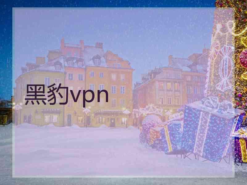 黑豹vpn