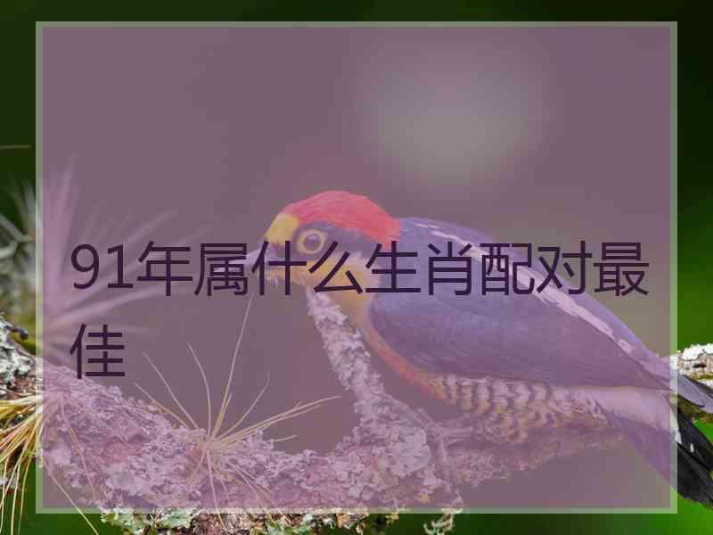 91年属什么生肖配对最佳