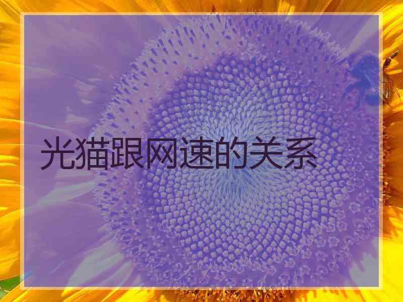 光猫跟网速的关系