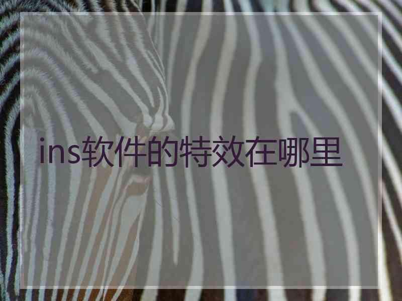 ins软件的特效在哪里