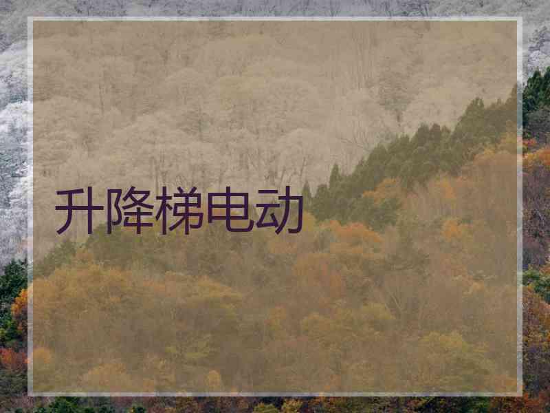 升降梯电动