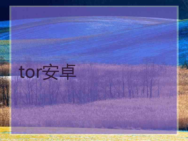 tor安卓
