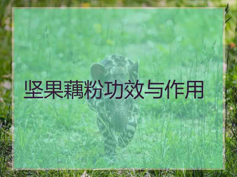 坚果藕粉功效与作用