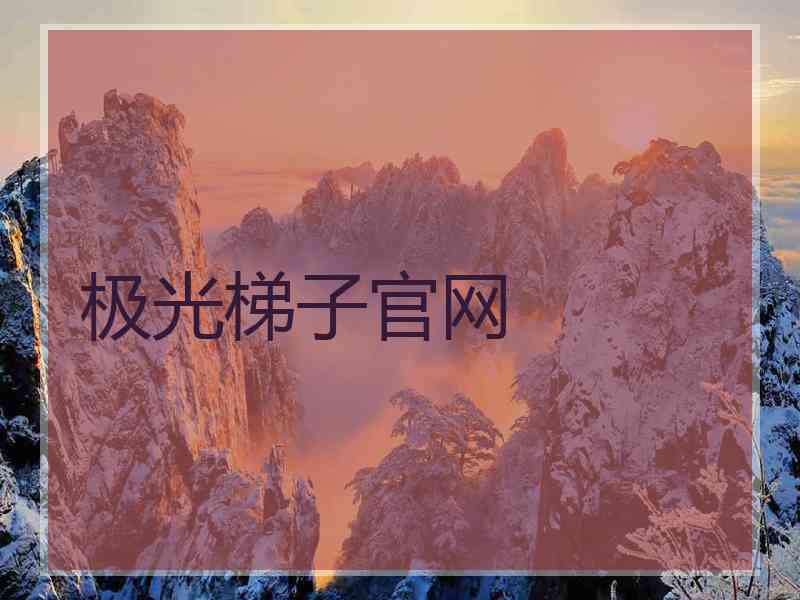 极光梯子官网