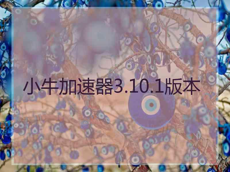小牛加速器3.10.1版本