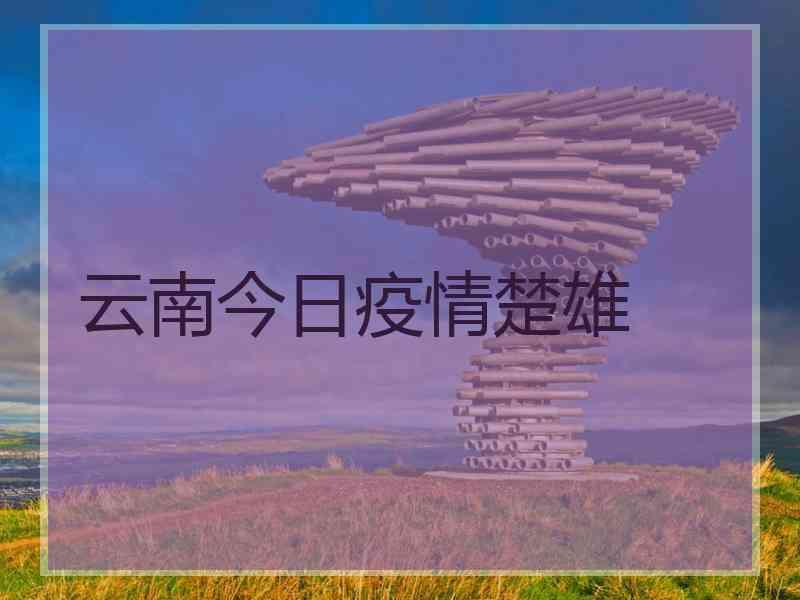 云南今日疫情楚雄