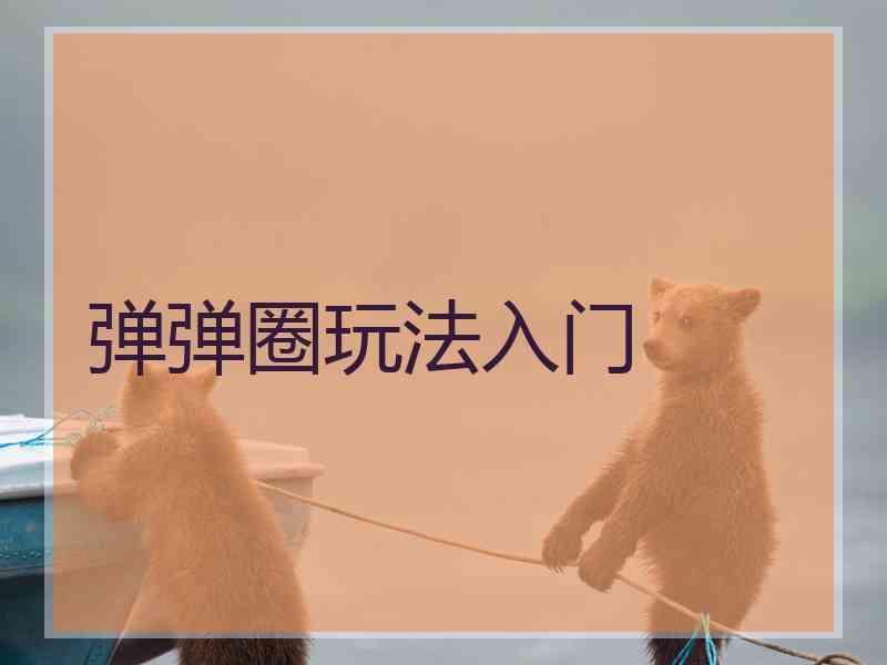 弹弹圈玩法入门