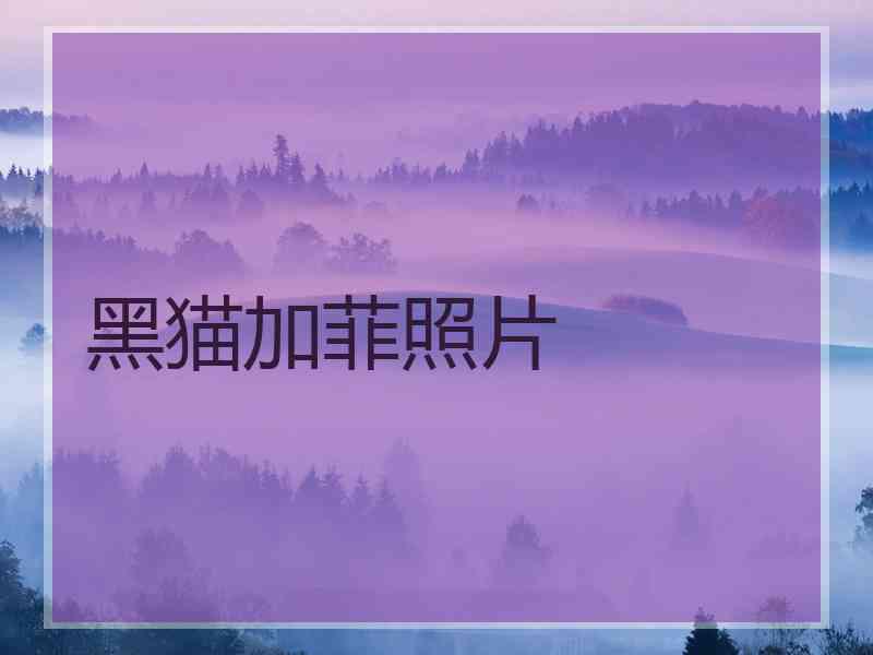 黑猫加菲照片
