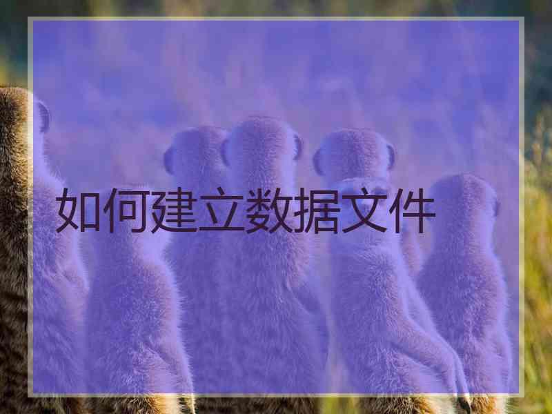 如何建立数据文件