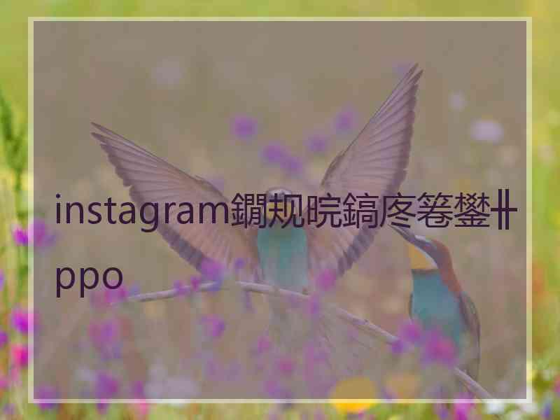 instagram鐗规晥鎬庝箞鐢╫ppo