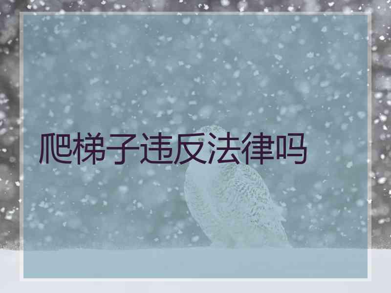 爬梯子违反法律吗