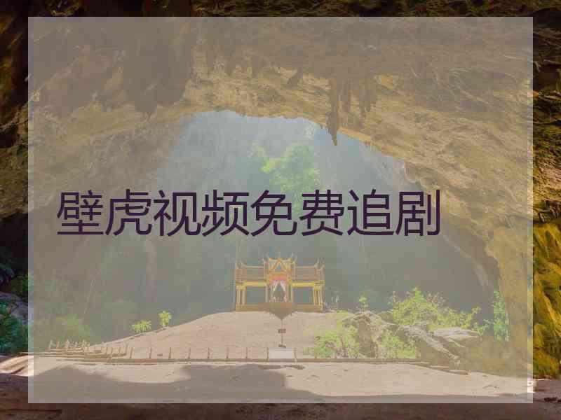 壁虎视频免费追剧