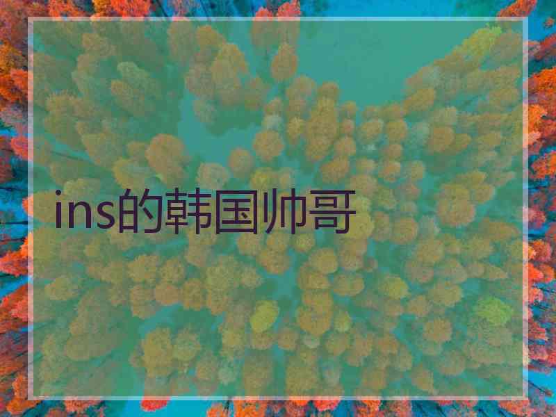 ins的韩国帅哥