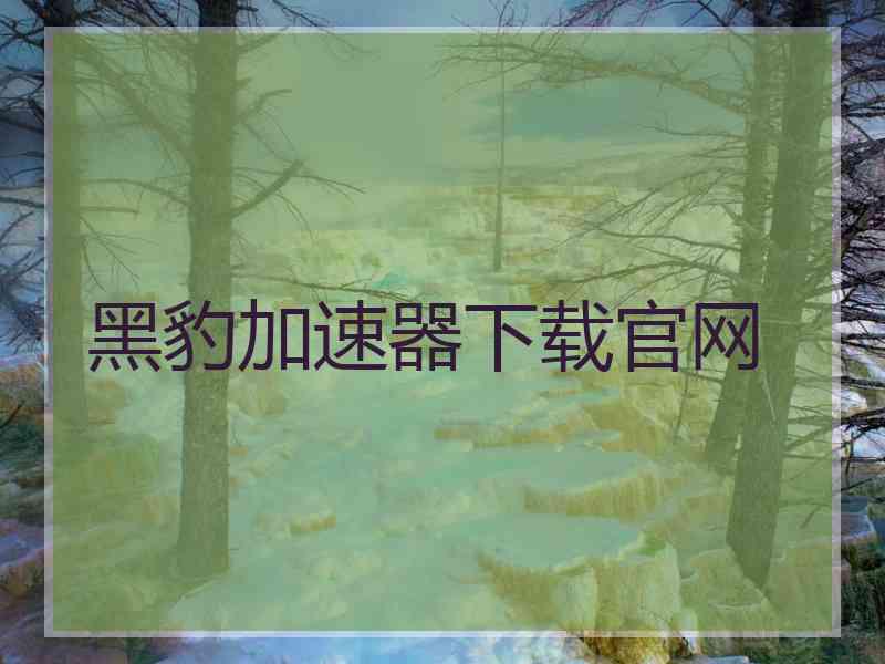 黑豹加速器下载官网