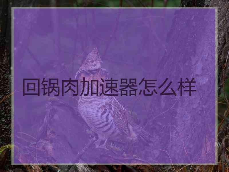 回锅肉加速器怎么样