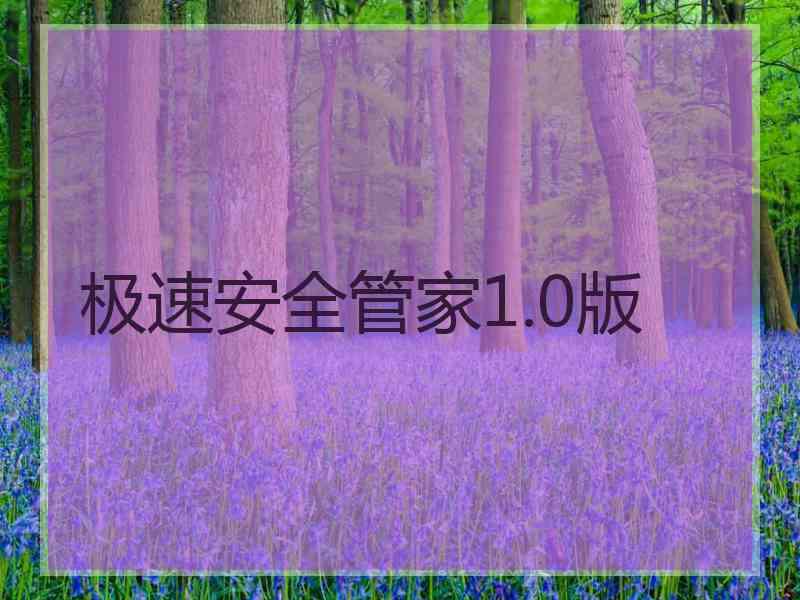 极速安全管家1.0版