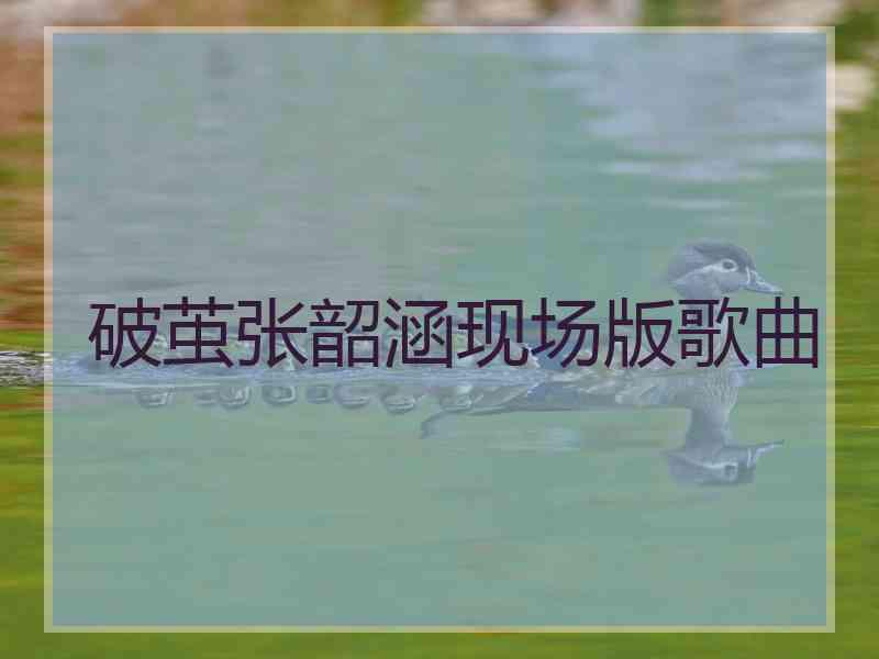 破茧张韶涵现场版歌曲