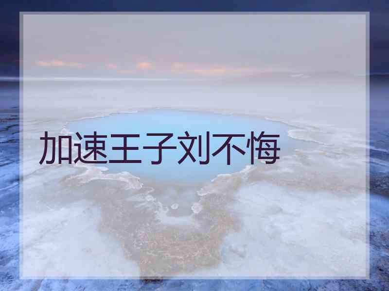加速王子刘不悔
