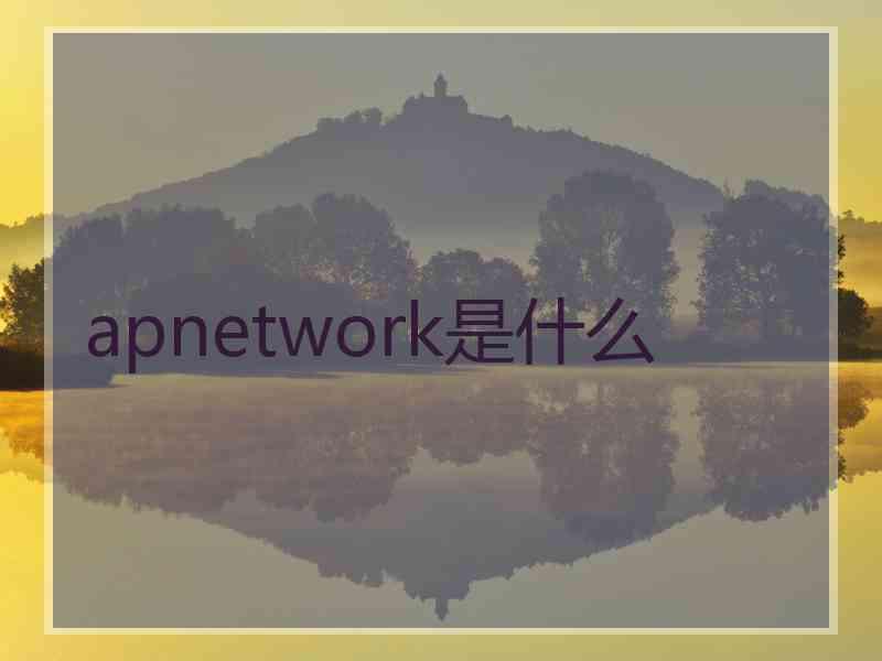 apnetwork是什么