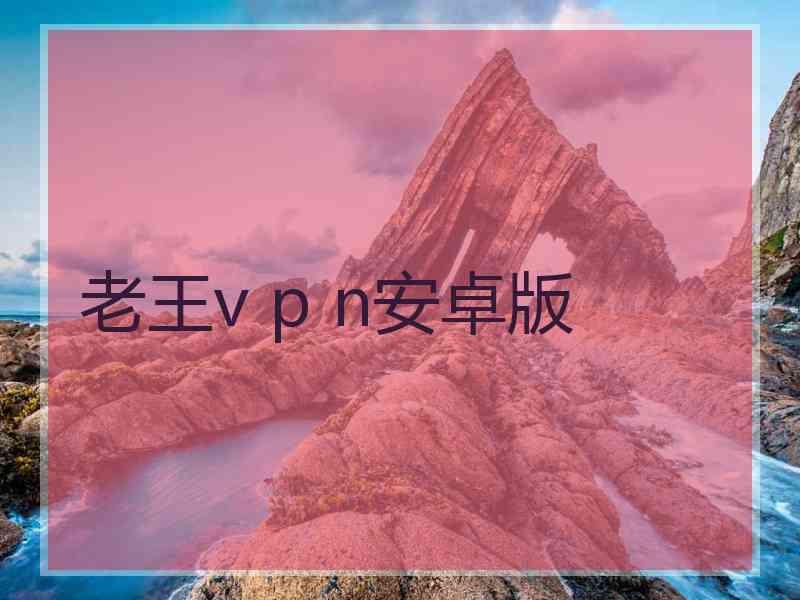 老王v p n安卓版