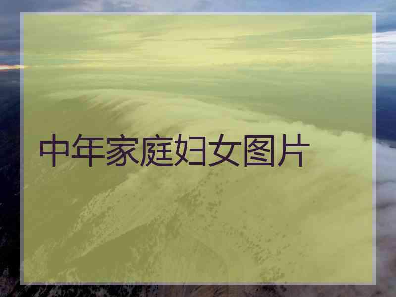 中年家庭妇女图片