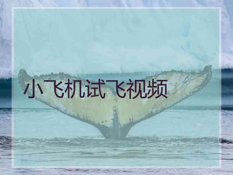 小飞机试飞视频