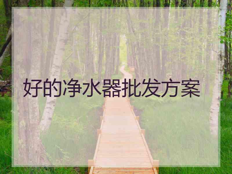 好的净水器批发方案