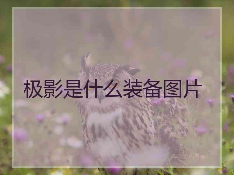 极影是什么装备图片