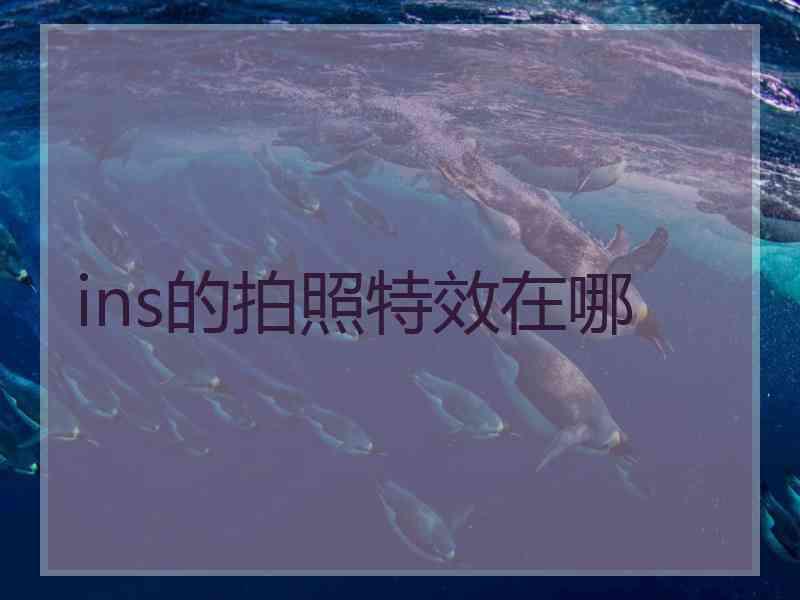 ins的拍照特效在哪