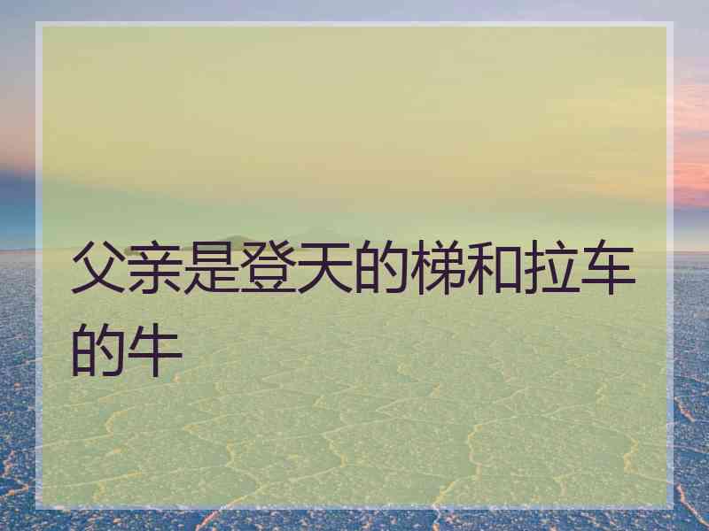 父亲是登天的梯和拉车的牛