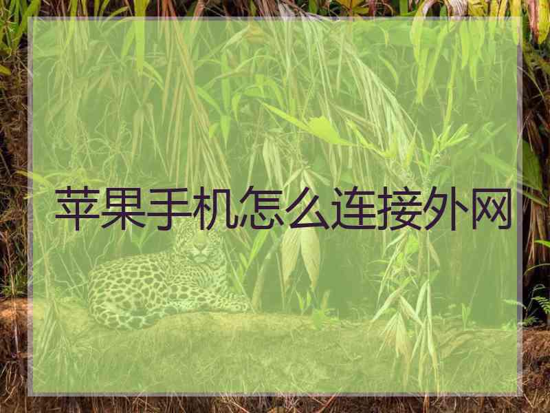 苹果手机怎么连接外网