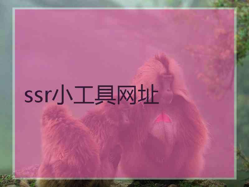 ssr小工具网址