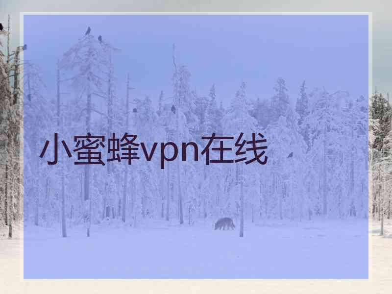 小蜜蜂vpn在线