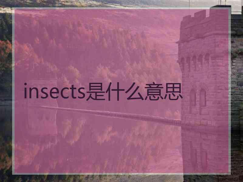 insects是什么意思